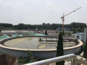 中心傳動刮泥機